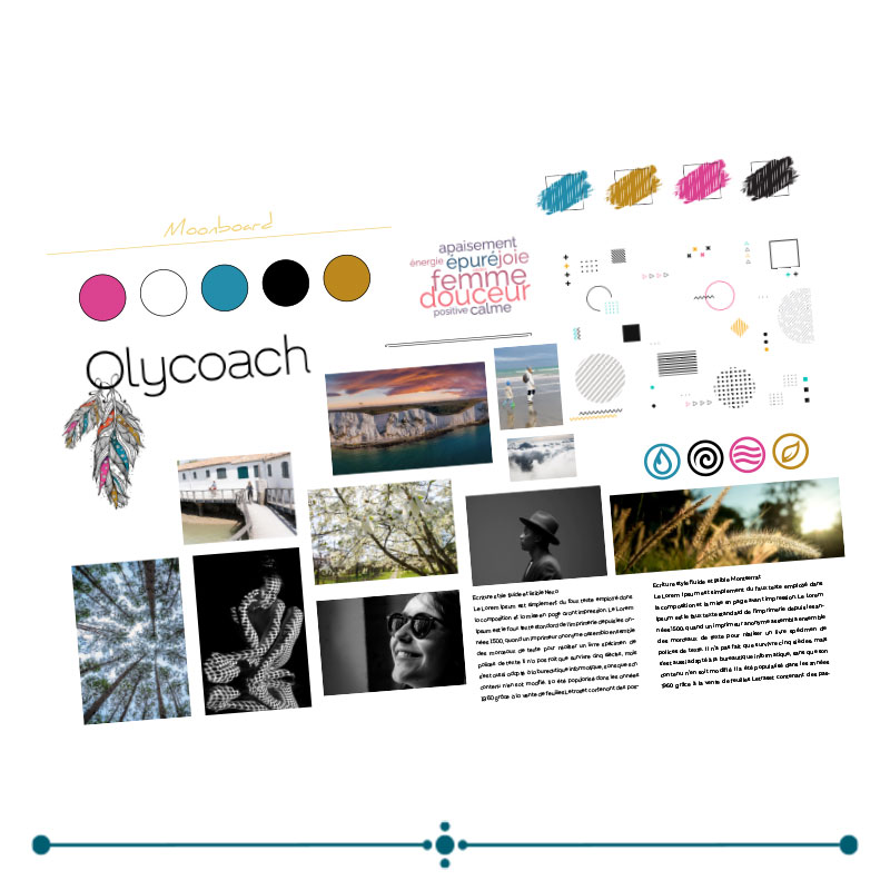 olycoach portfolio pouty webdesign moonboard